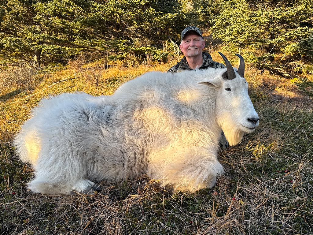 25-goat-1 Mountain Goat Hunts in BC