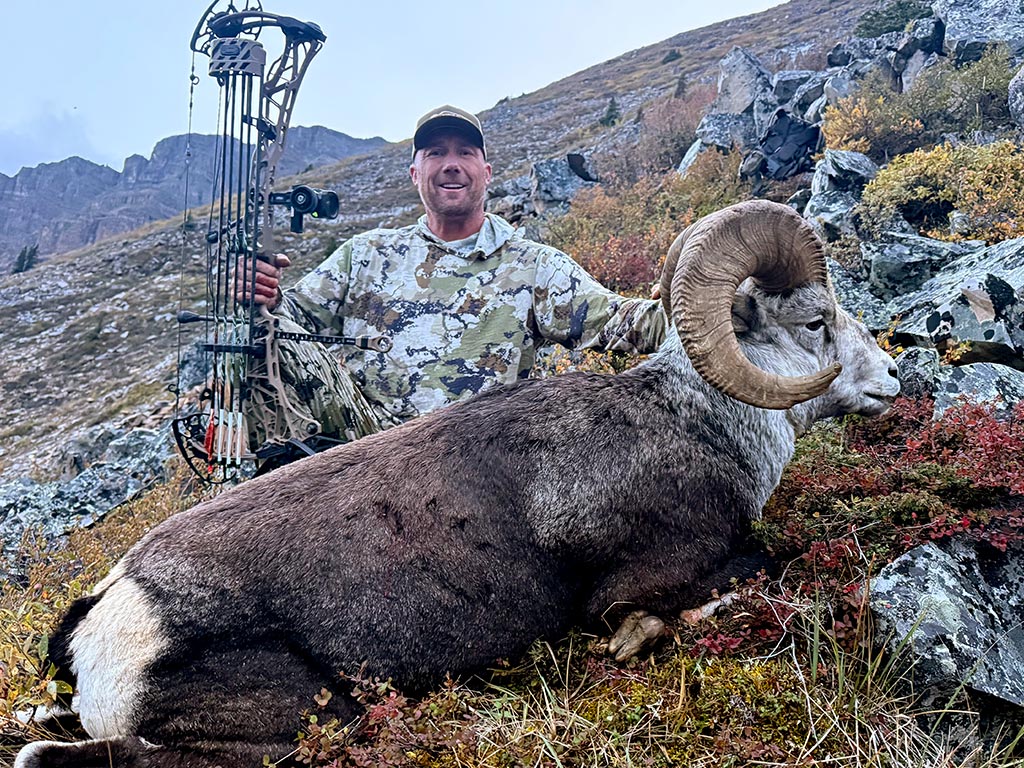25-sheep-2 Bowhunting for Stone Sheep