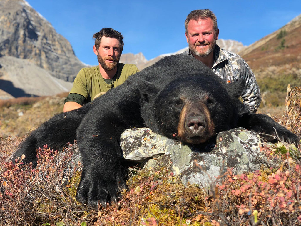 BC Bear Hunt