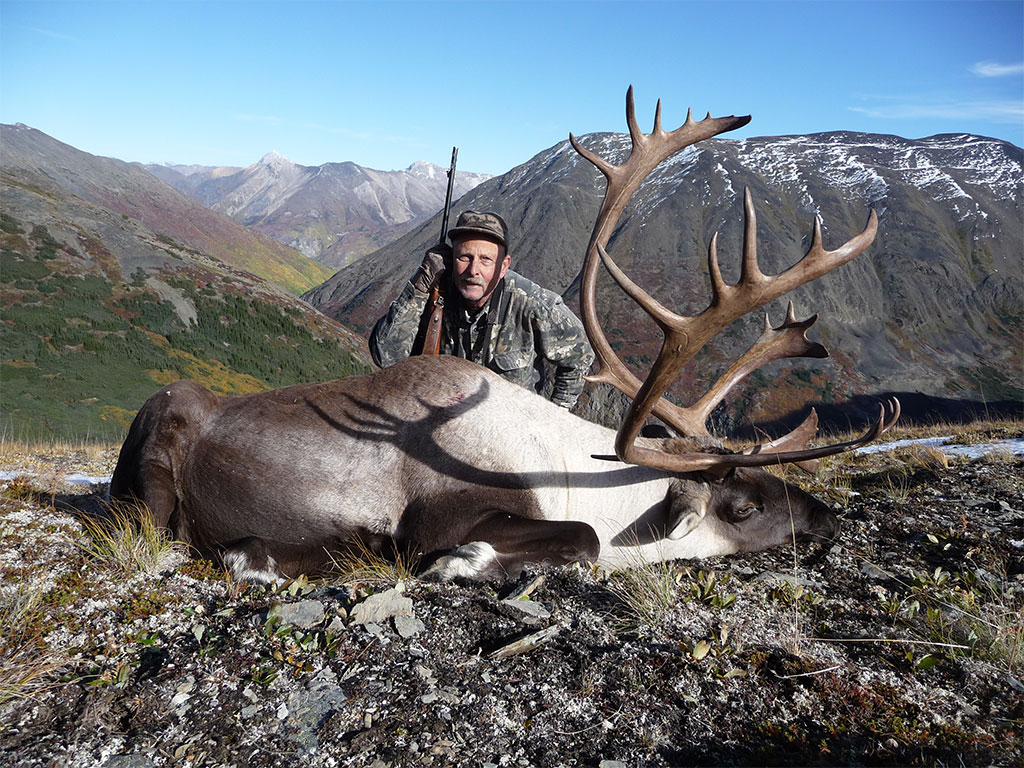 Mountain Elk Hunt
