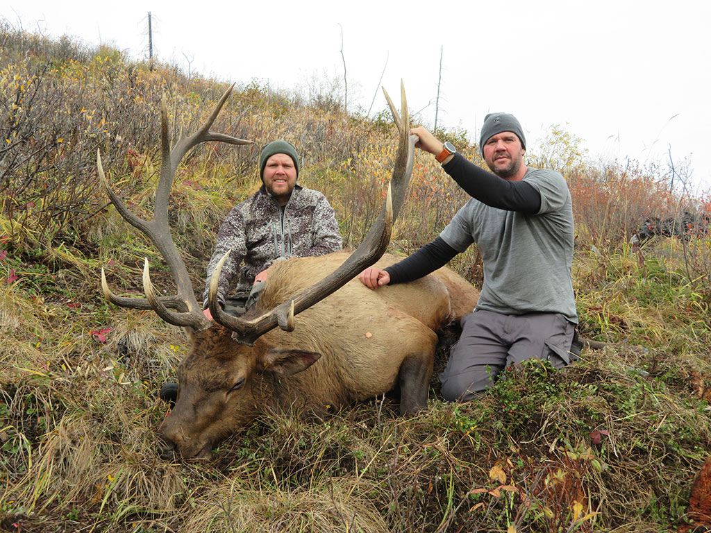 Rocky Mountain Elk Hunt