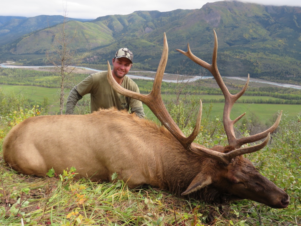 Rocky Mountain Elk Hunt