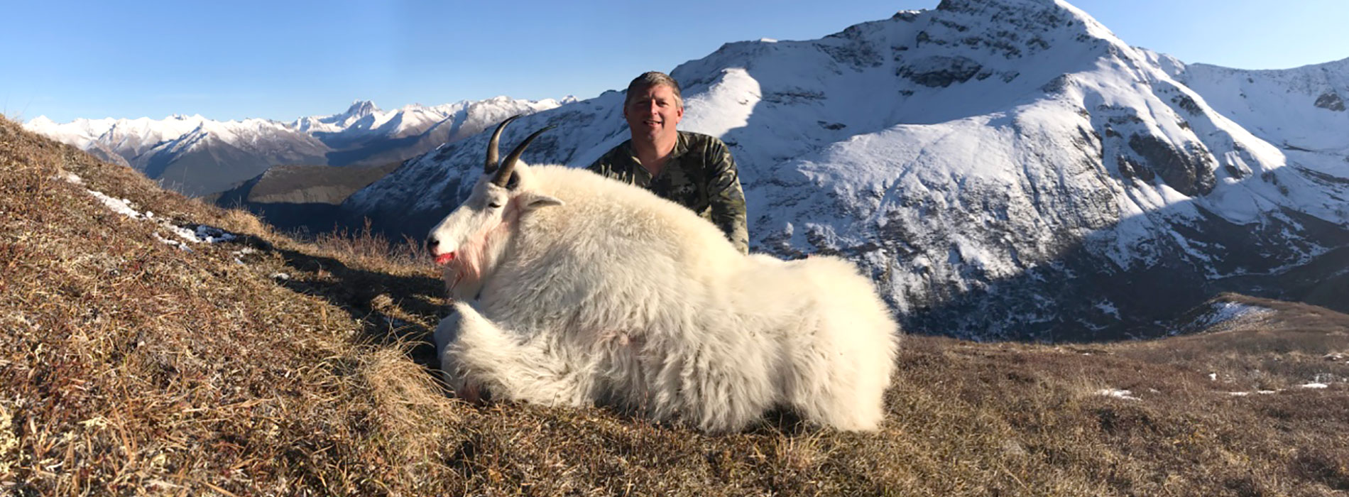 Mountain Goat Hunts in BC