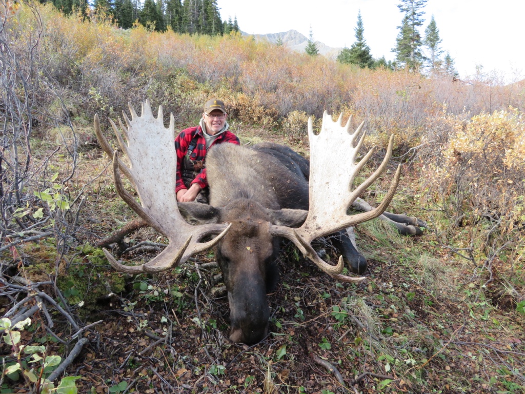 Moose Hunting BC