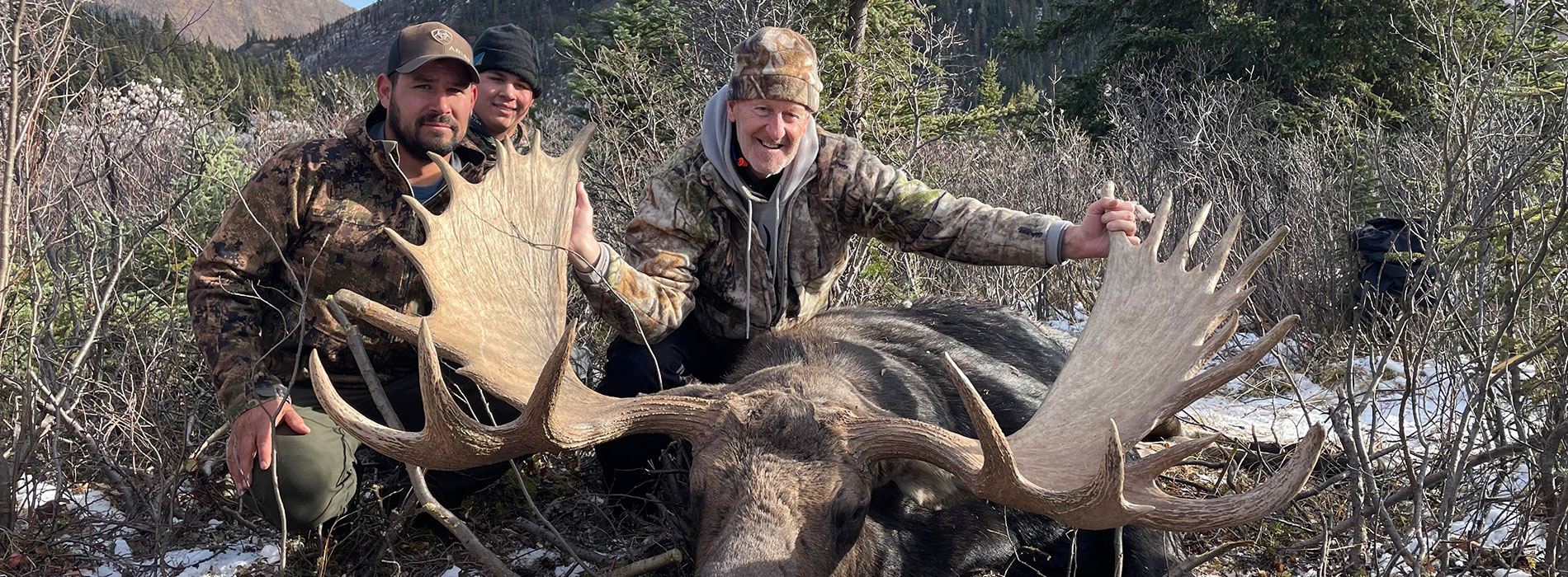 Moose Hunting in BC