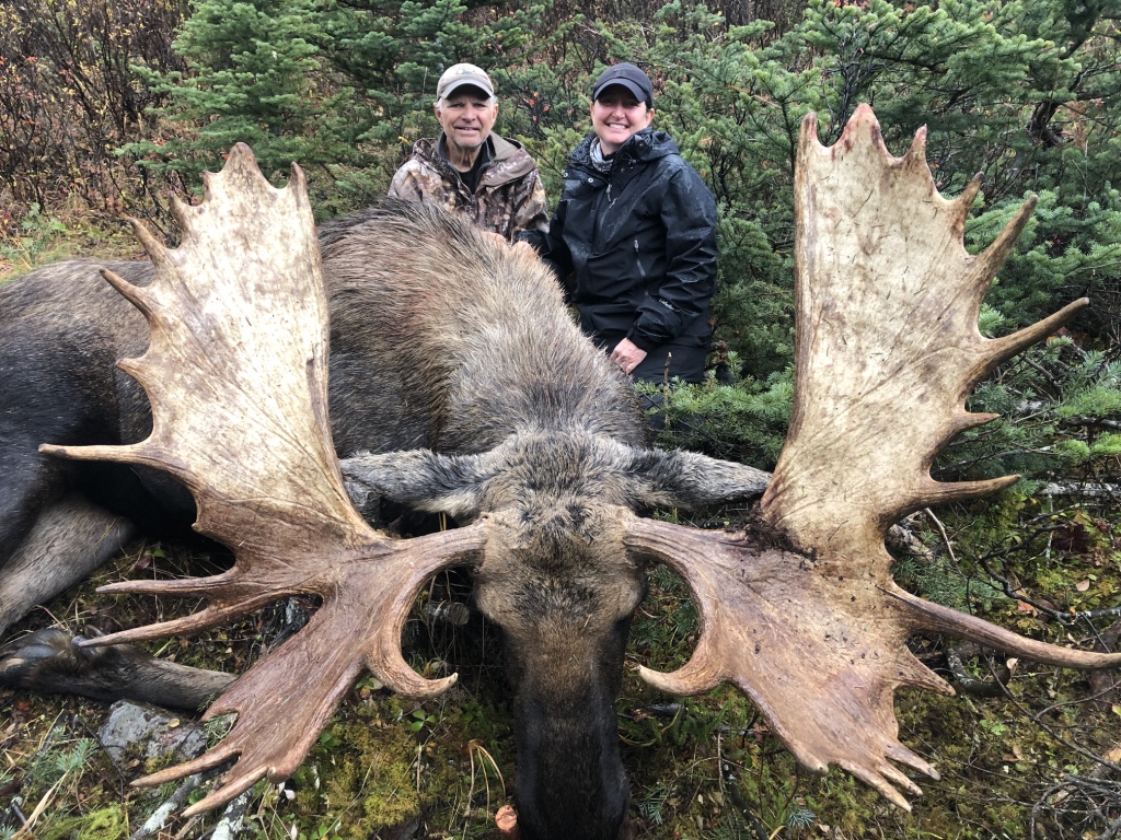 Hunting Moose in BC