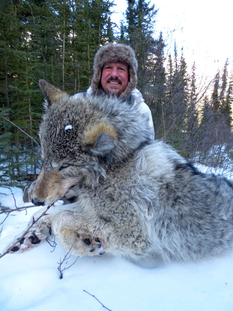 Winter Wolf Hunt in BC